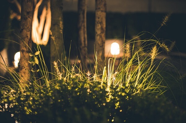 Front garden lights