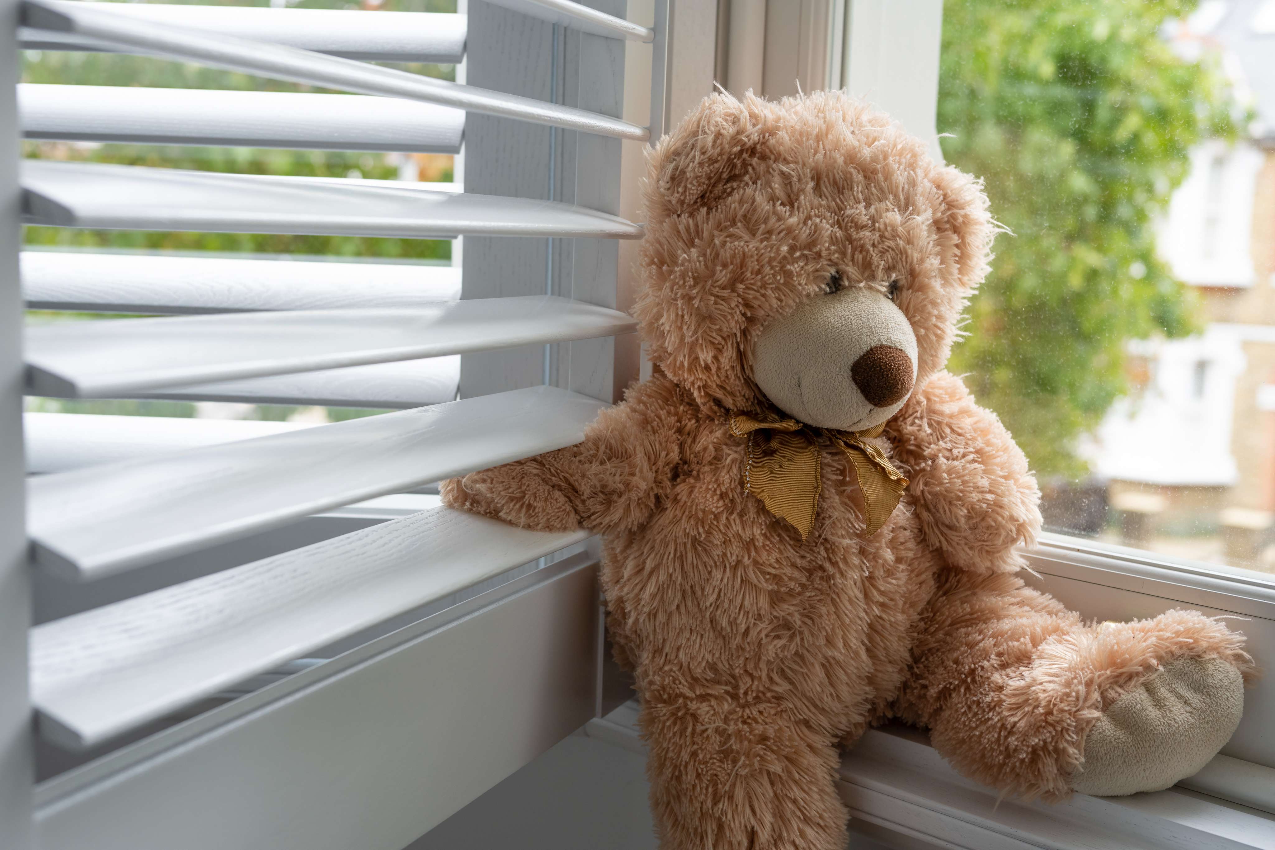 what are window shutters